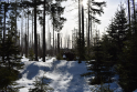 Harz2019-11.jpeg