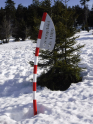 Harz2019-13.jpeg