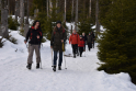 Harz2019-39.jpeg