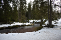 Harz2019-40.jpeg