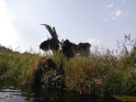 Tollense-Peene_2016_02.jpg