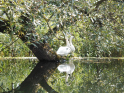 Tollense-Peene_2016_05.jpg