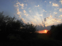 Tollense-Peene_2016_09.jpg