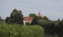 Tollense-Peene_2016_10.jpg