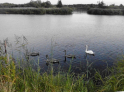 Tollense-Peene_2016_19.jpg