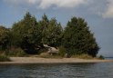 Tollense-Peene_2016_38.jpg