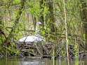 Moellner-Seen-02.jpg