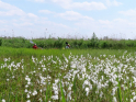 Giethoorn2018-16.jpg