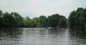 Dove-Gose-Elbe-03.jpeg