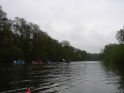 Wakenitz2019-09.jpg