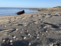 13-IMG_9629.jpg