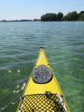Bodensee2017-08.jpg