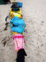 Ostsee_SH_Ines-18-750x1000-1.jpeg