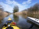 Peene2021-02.jpg